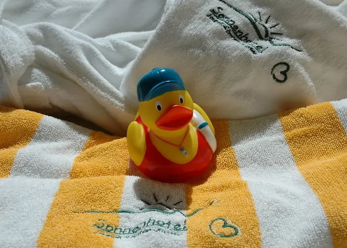 Sonnenhotel Zaubek Treffen