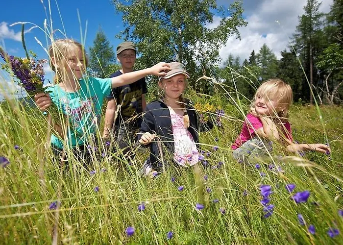 Hotel Sonnenhotel Zaubek